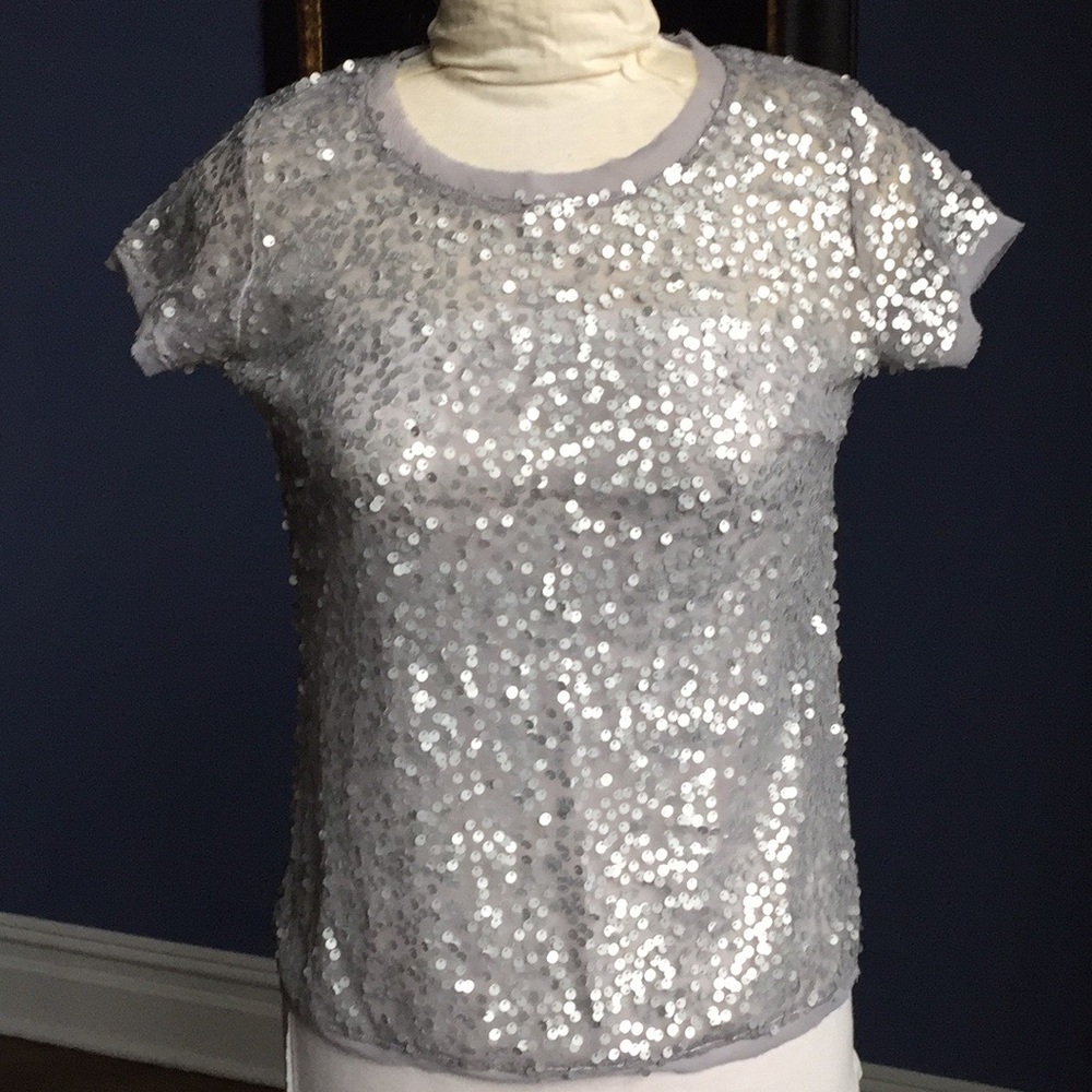 Sheer sequined tee NWOT